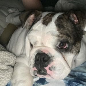 Meet your Posher, Jeffrey